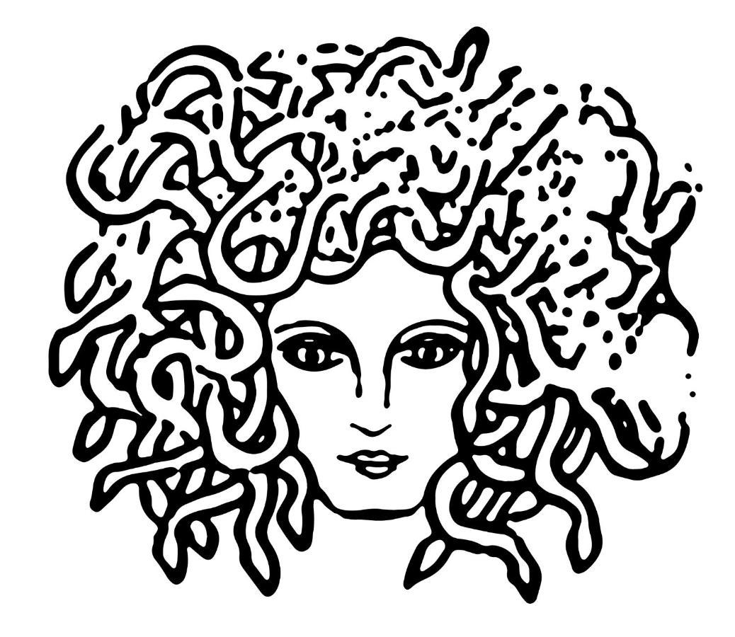 Medusa Duomo Guest House نابولي المظهر الخارجي الصورة